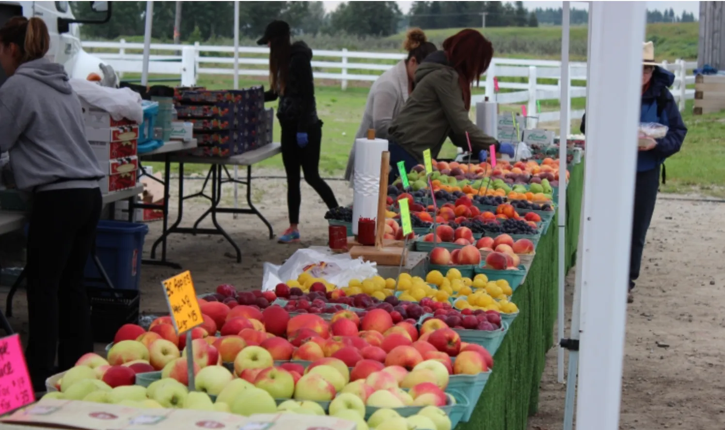 Farmers market calgary, example 3