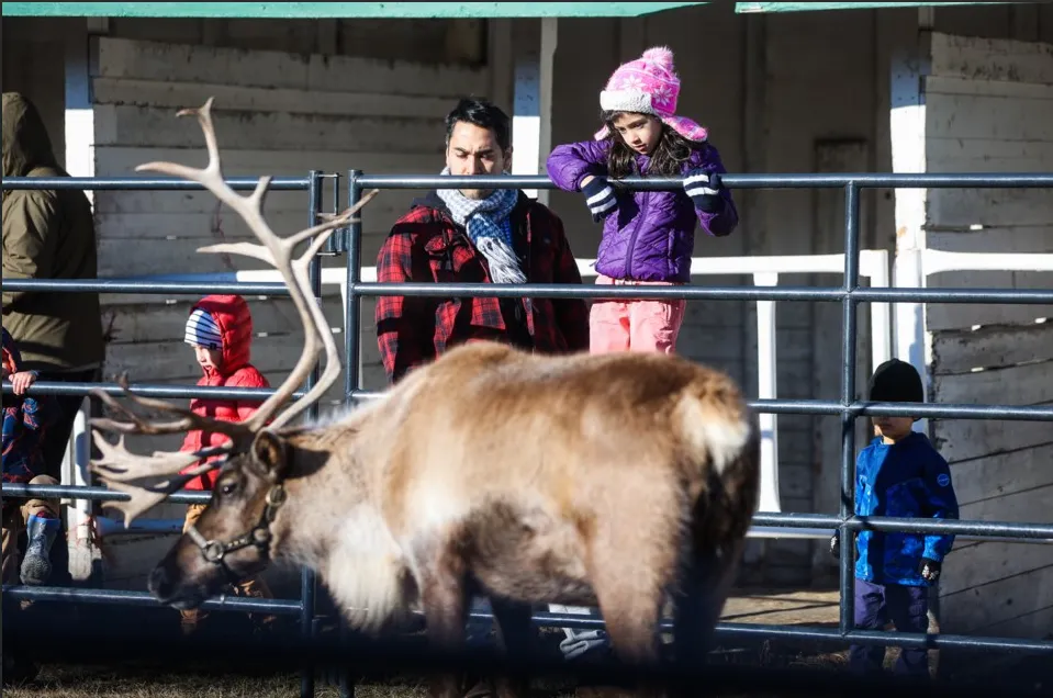 Christmas market calgary, example 8